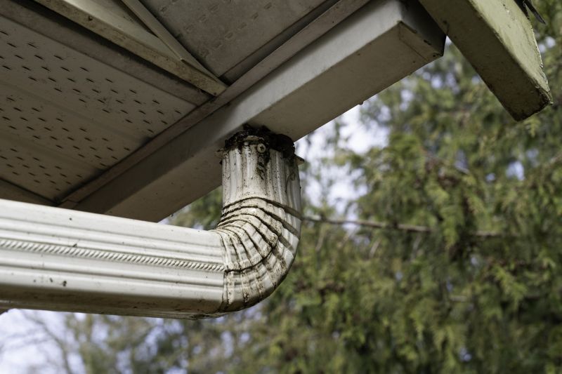 Gutter Downspout Unclogging in Fredericksburg, VA