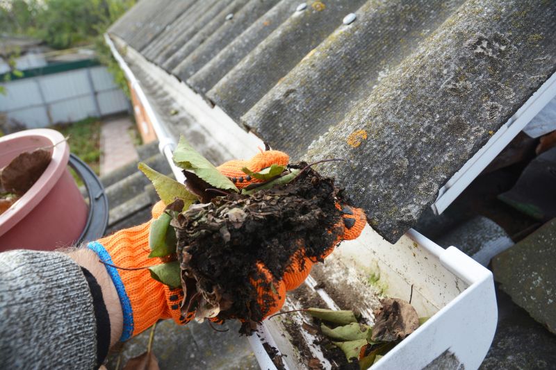Gutter Pine Needle Removal in Boulder, CO